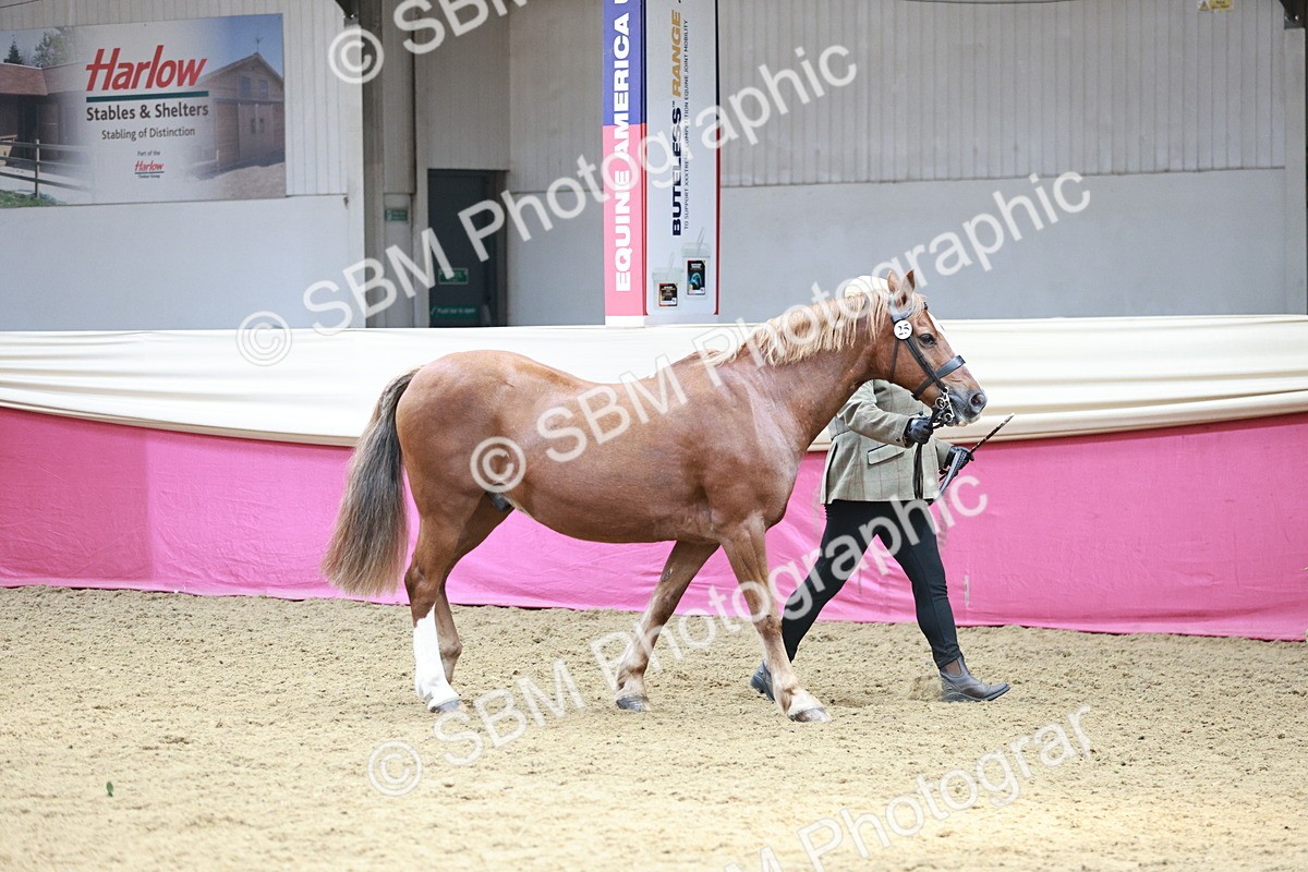 SBM_04718 - Class 7R - Regional IH Diamond