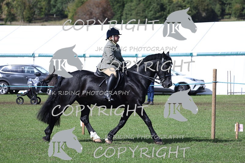 APP_3486 - Class 12 M&M ridden