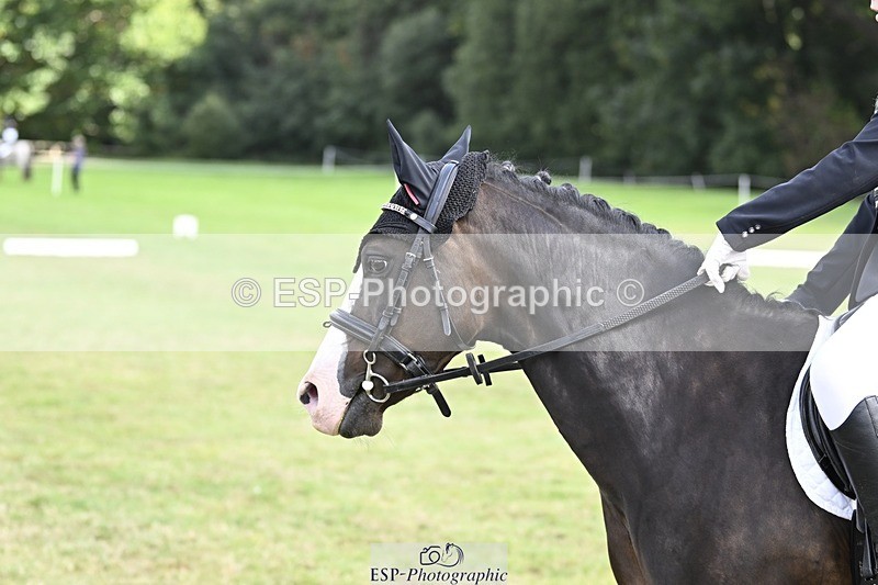 250821A-105255-14592 - DR 10.00 to 11.00