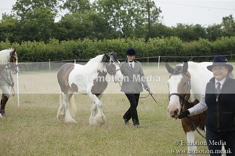 B230619-0691 - Bourne Valley Riding Club Summer Show 23/06/19
