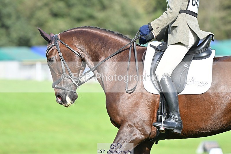 231020-114813-08256 - 649-DONAIL.BEAUANCO-Sheila.Williams-DR