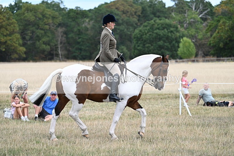 WJ7_4860 - Class 12 Ridden Cob