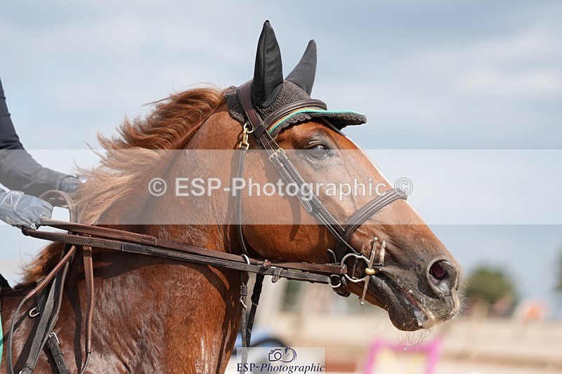 250802-164237-11268 - Cls 25 Senior 1.15 Open (inc Members Cup)