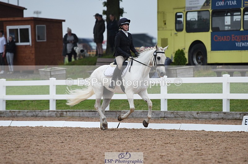 230708A-122420-01719 - Prelim 7