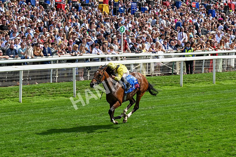 220826-Race 2-Infraad-0303 - Race 2 14.25pm Sky Bet Melrose Handicap