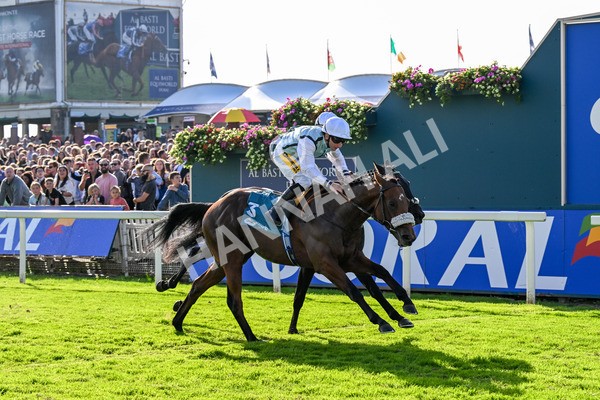 111025-Race 3-Laazm-0357 - Race 3 Coral 'Daily Reward Shaker' For Free Nursery Handicap at York