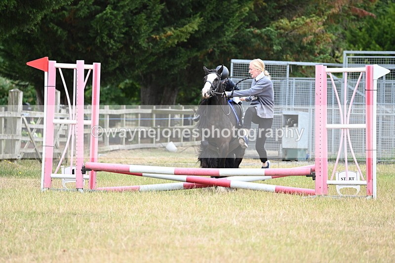 WJ6_9460 - Class 12 Minimus Jumping 45cm
