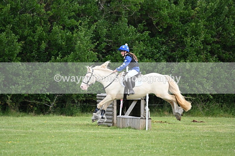 WJ6_2661 - Class 2 40cm