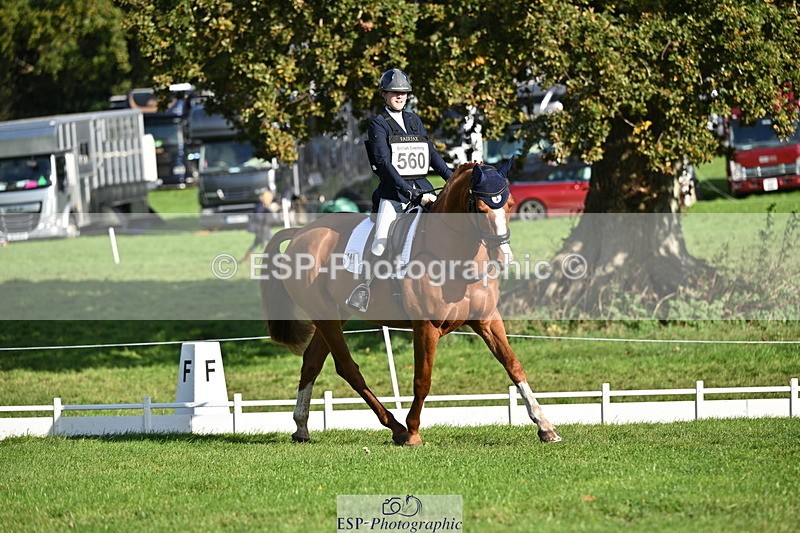 251024A-105242-08457 - G-560-Josie.Dix