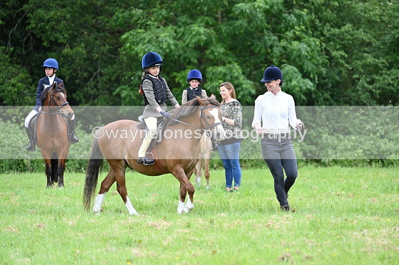 WJ7_4002 - Class 14A Handsome Gelding