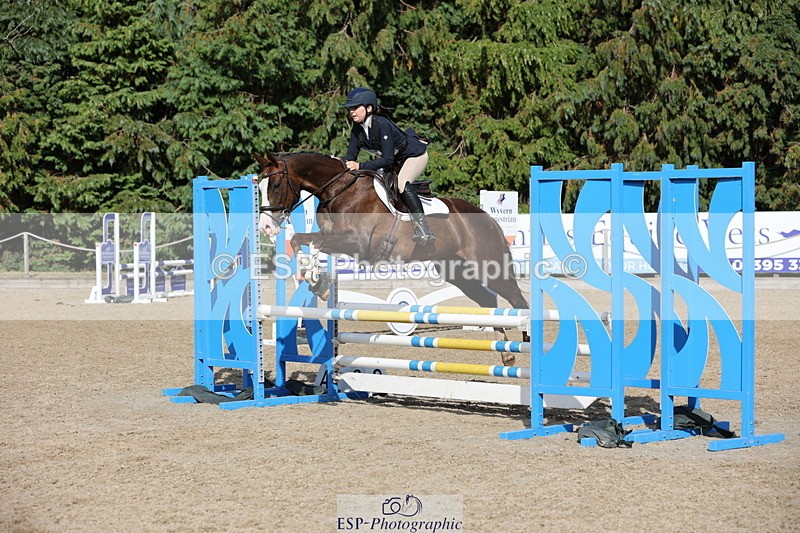 250803A-170913-17759 - R-821-Josephine.Grey-GEMMASTON.ALL.THAT.GLITTERS