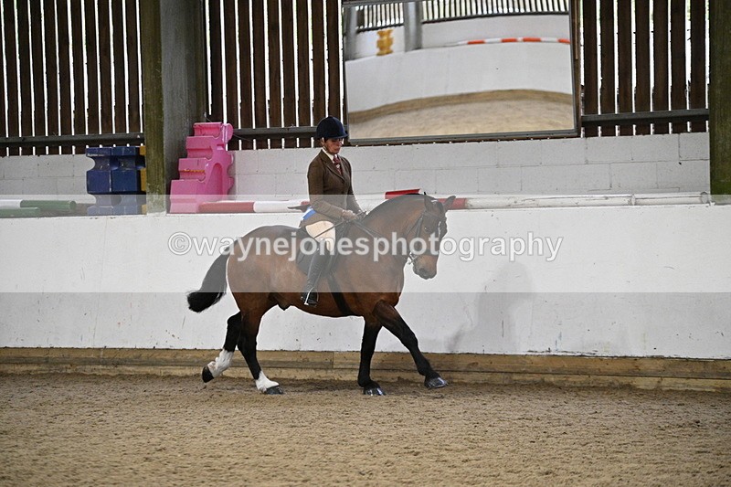 WJ7_4408 - Class 17 Ridden Cob