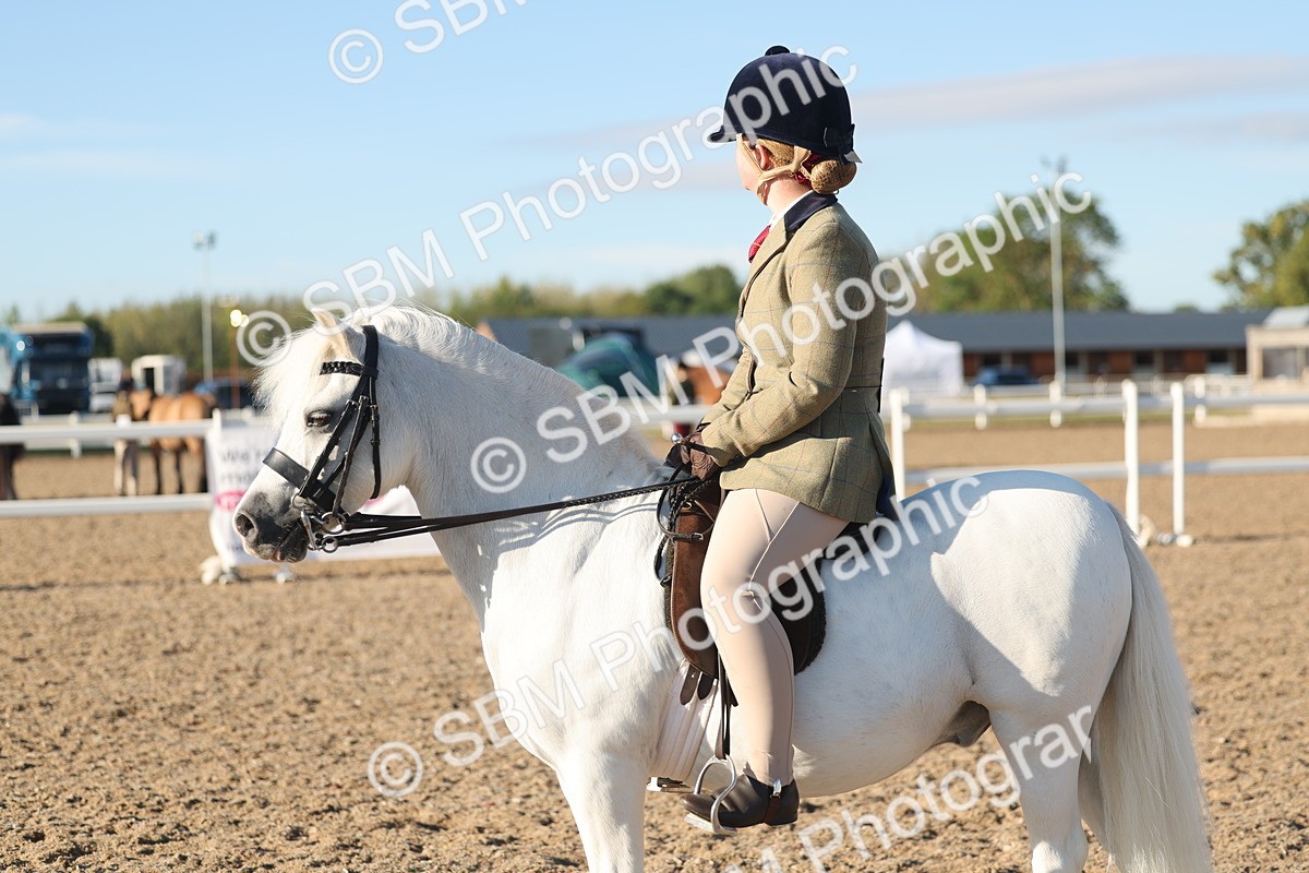SBM_10912 - Class 301 - Ridden M&M Small Breeds