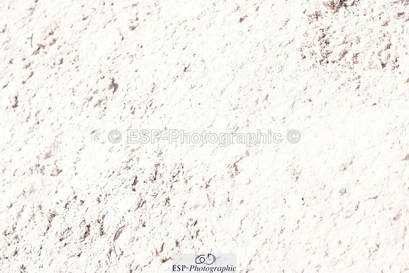 250525-101054-09068 - Cls 32 A&B Snr Brit Nov & 90cm Open