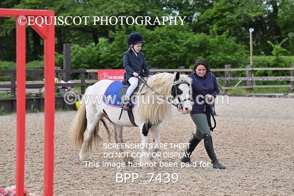 BPP_7439 - CLASS 0 CLEAR ROUND Show Jumping