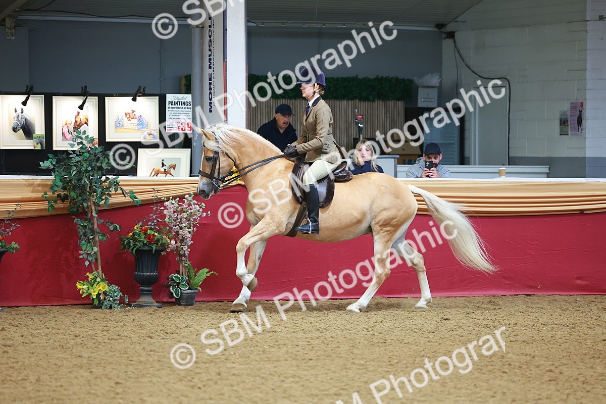 SBM_09786 - Class 102 - HOYS Veteran Qualifier - Ridden Veteran