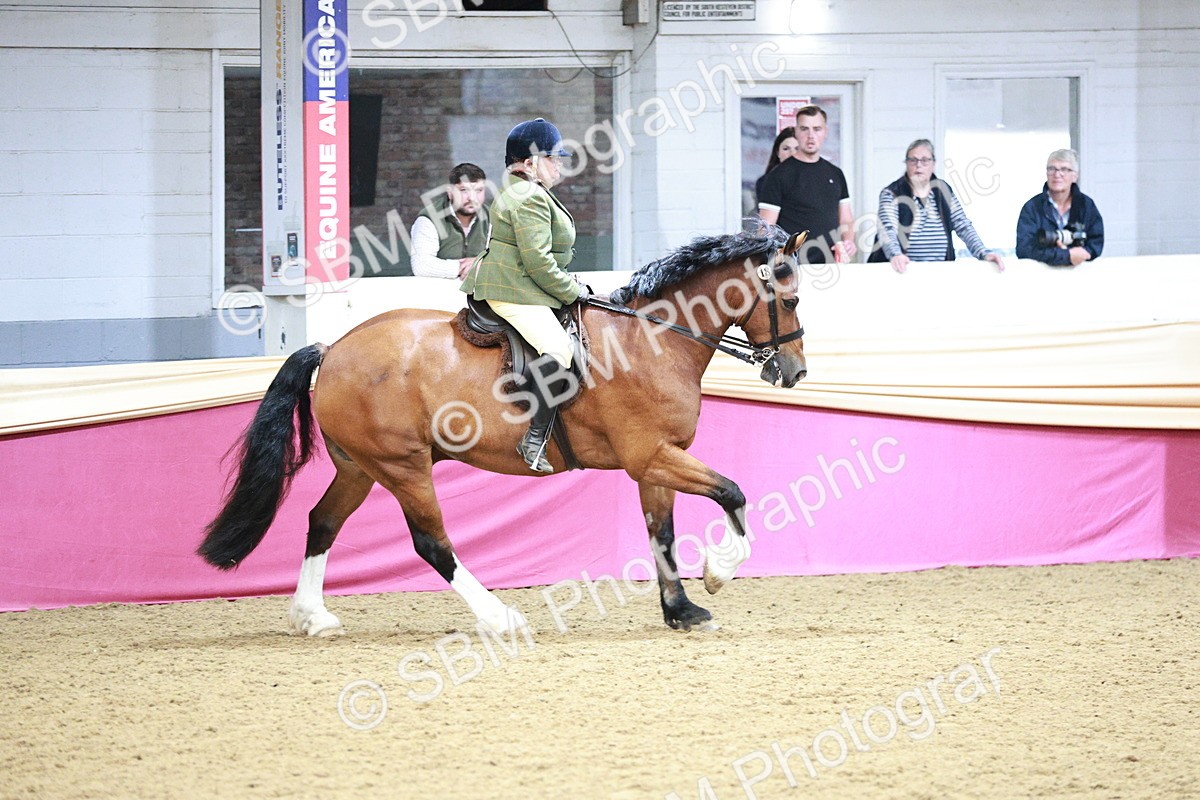 SBM_03620 - Class 6A Area Ridden Pre-Vet