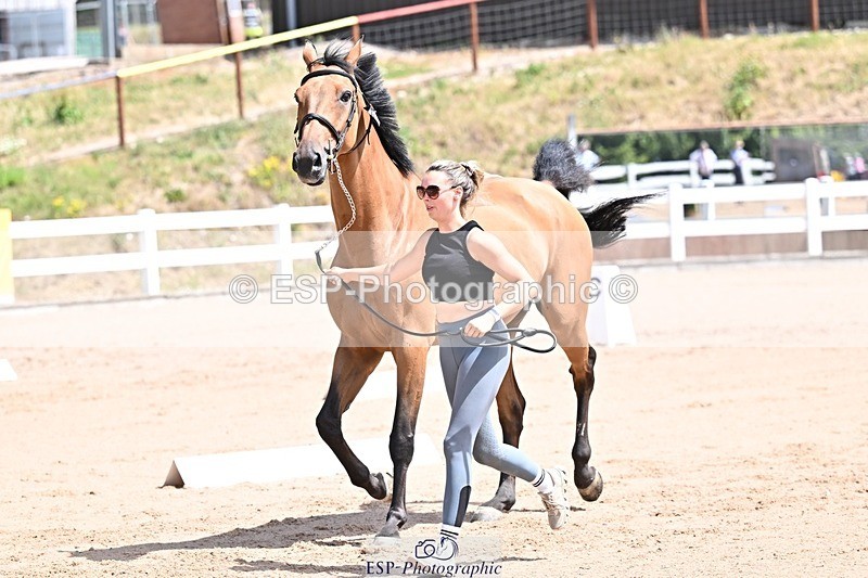 250716-124602-00155 - Trot Up 12.30 to 1.30