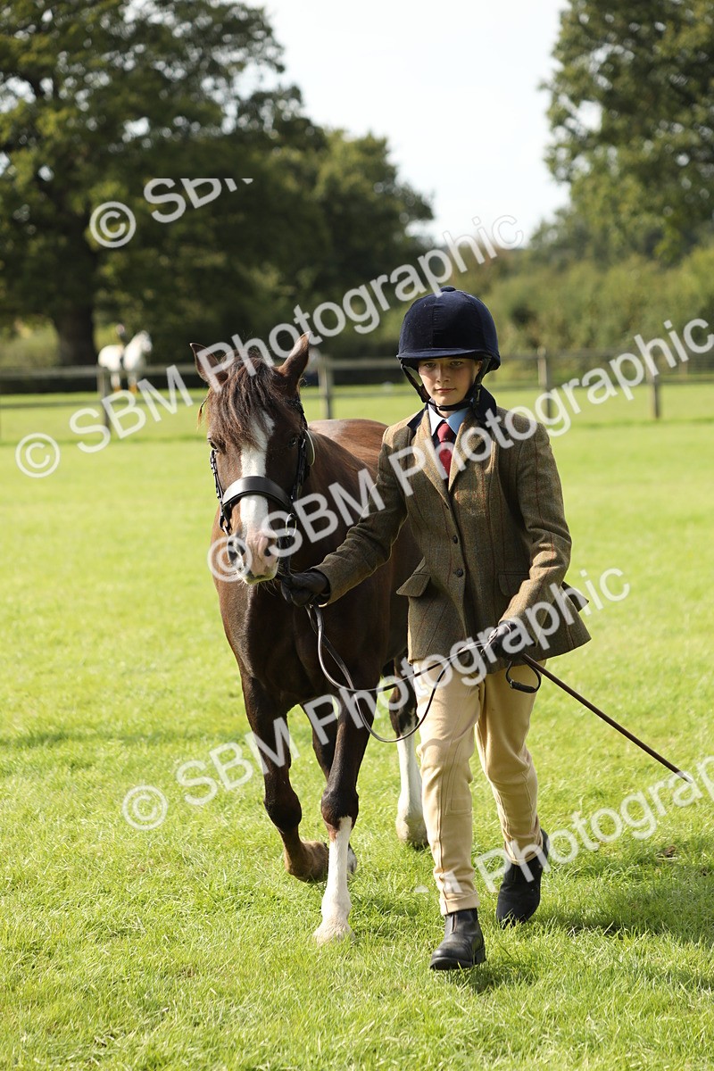 SBM_68637 - S40 - Junior Handler 9-12 Years