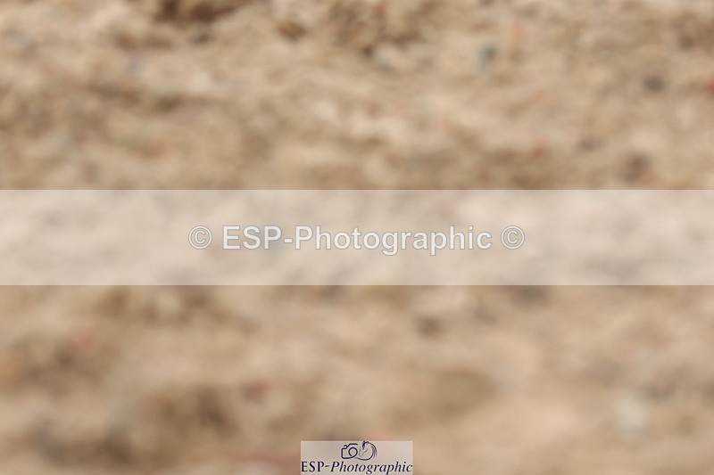 240622A-112309-09013 - Cls 30 BD Elementary 53