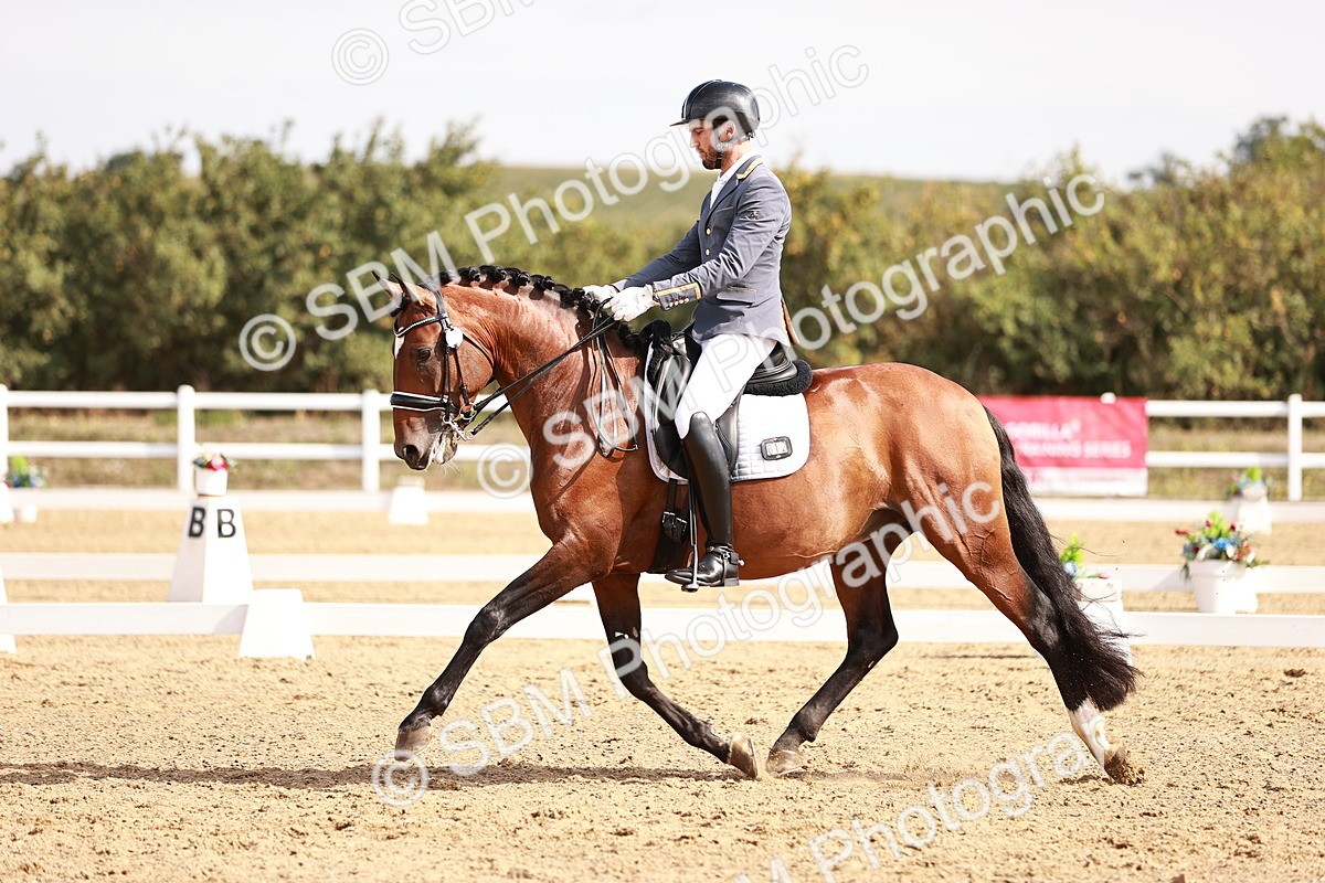 SBM_017600 - Class 11 - Advanced Medium 6