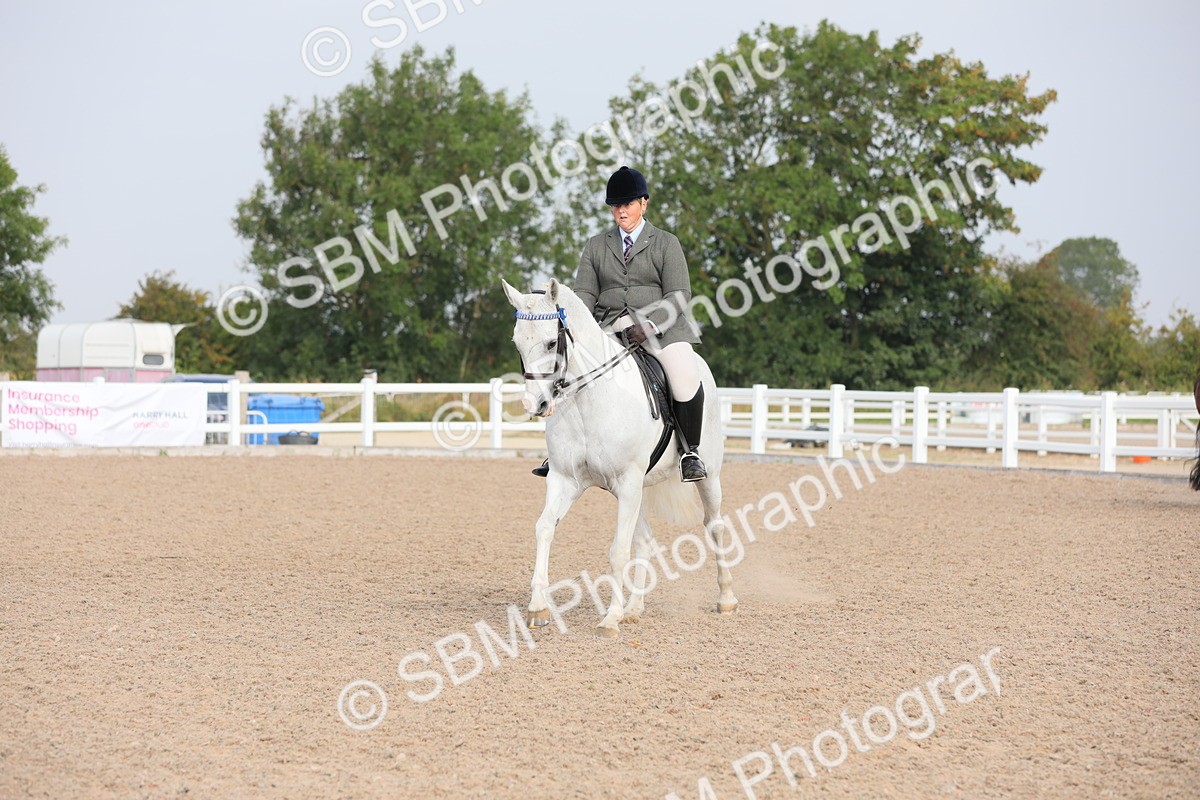 SBM_10880 - Class 304 Ridden Part Bred Horse/Pony