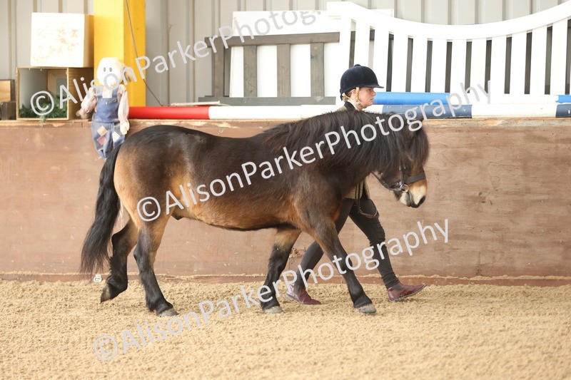 20251109-0573 - Class 22 - Geldings 4 Years and over