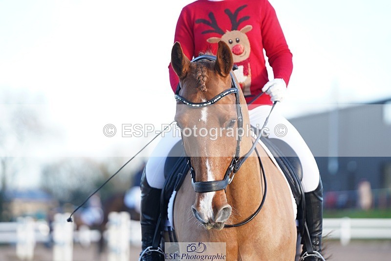 241214-102444-00164 - 108-Pippa.Knight-KFS.Boston.Burglar