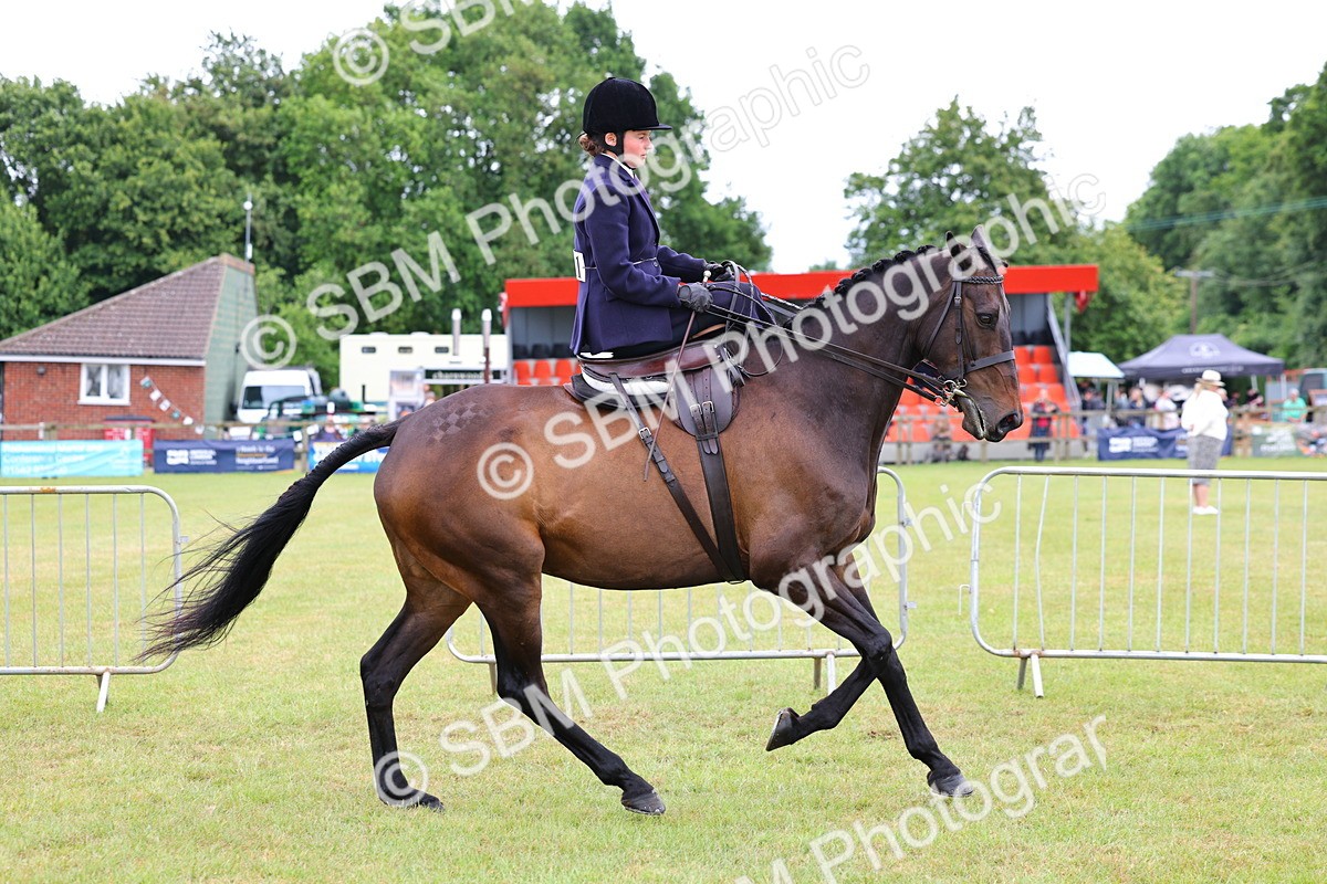 SBM_02821 - Class 9-11 Side Saddle including LIHS Rising Star Ladies Show Horse