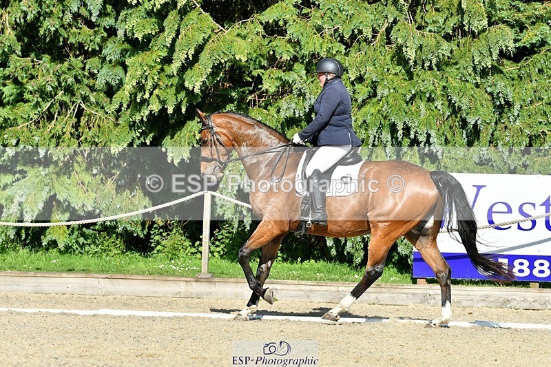 230623-173047-01547 - Cls 8 Medium 73Q