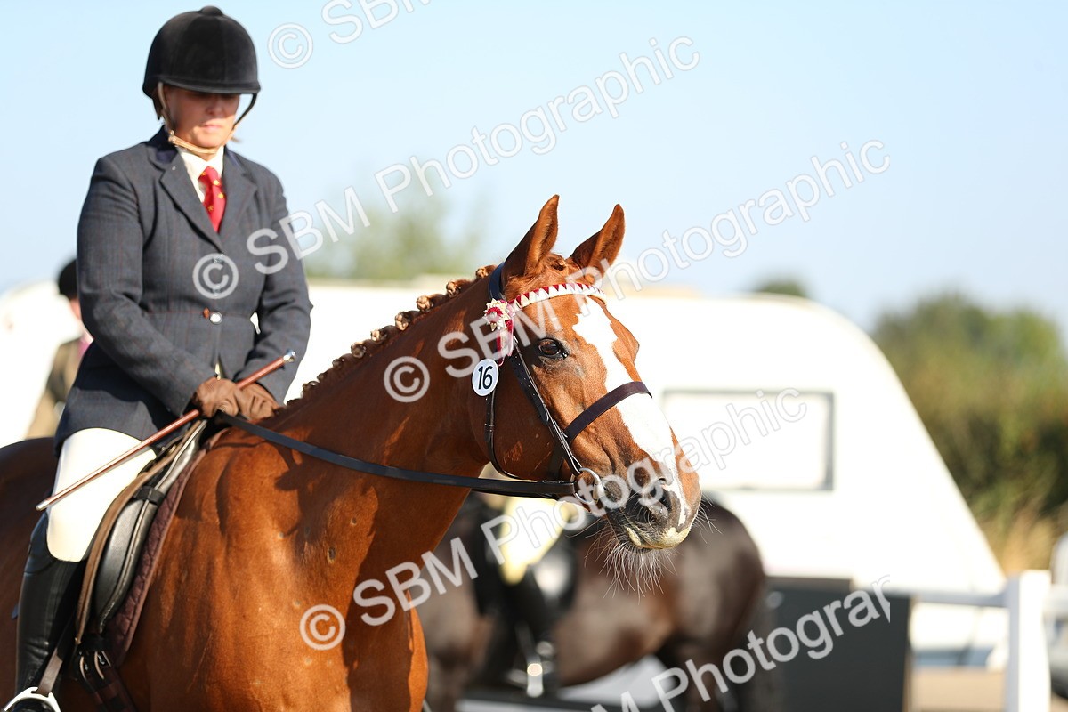 SBM_00449 - Class 41 Best Turned Out Ridden