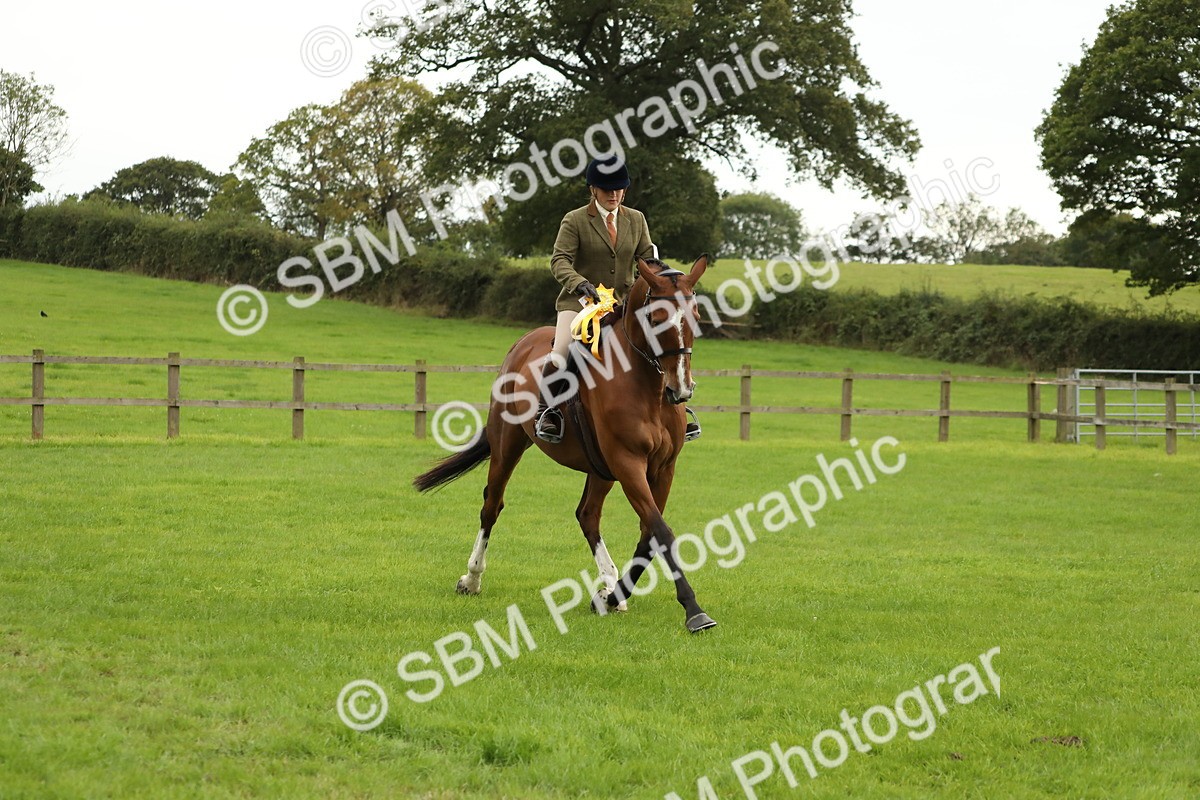 SBM_73906 - S41 - Ridden Equitation (Best Rider)