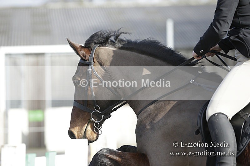 BVRC 050320 0046 - Bourne Valley riding Club Show Jumping Tidworth 08/03/20