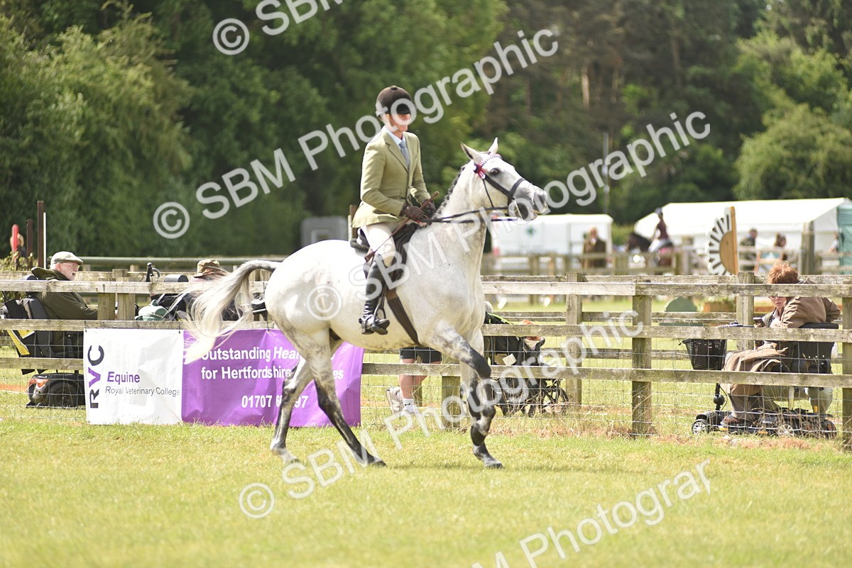 SBM_15109 - Class 113-114 - Retraining of Racehorses Ridden