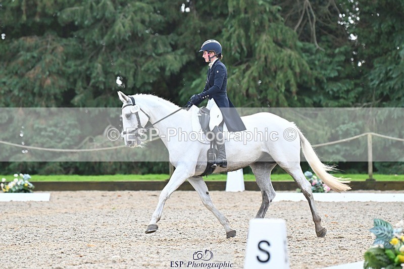 231019-123108-03119 - 114-LATINA'S.TWINKELING-Pippa.Haslam-DR