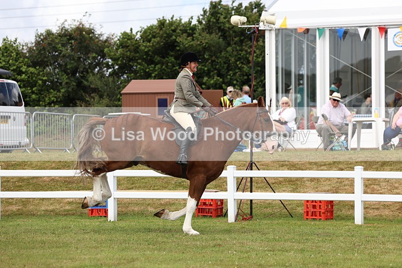 3E7A0298 - Class 6: Rising Star Maxi Cobs