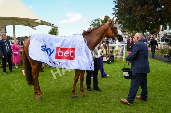 240824-Race 1-See The Fire-0432 - Race 1 1.50pm Sky Bet Strensall Stakes