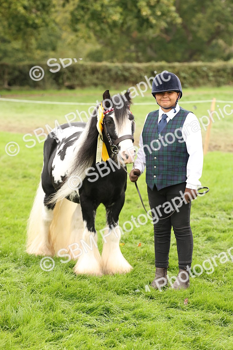 SBM_59375 - S57 - Traditional Cob In Hand