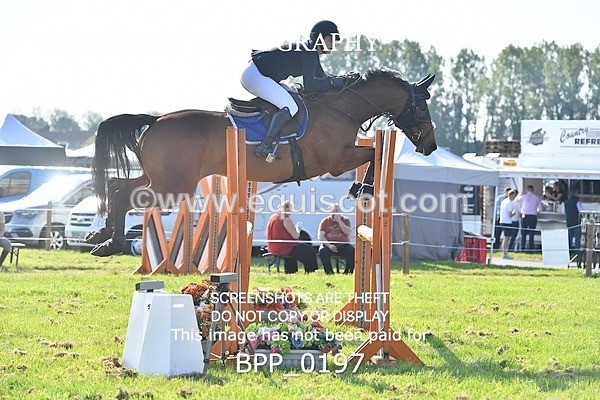 BPP_0197 - CLASS 1 Senior Newcomers/ 1.10m Open