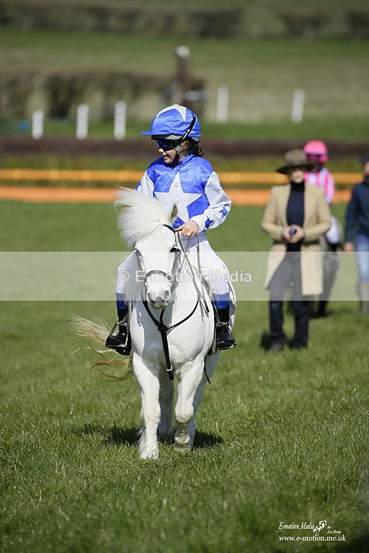 PtP 190322 48 - Wilton Hunt PtP Milborne St Andrew 19/03/22
