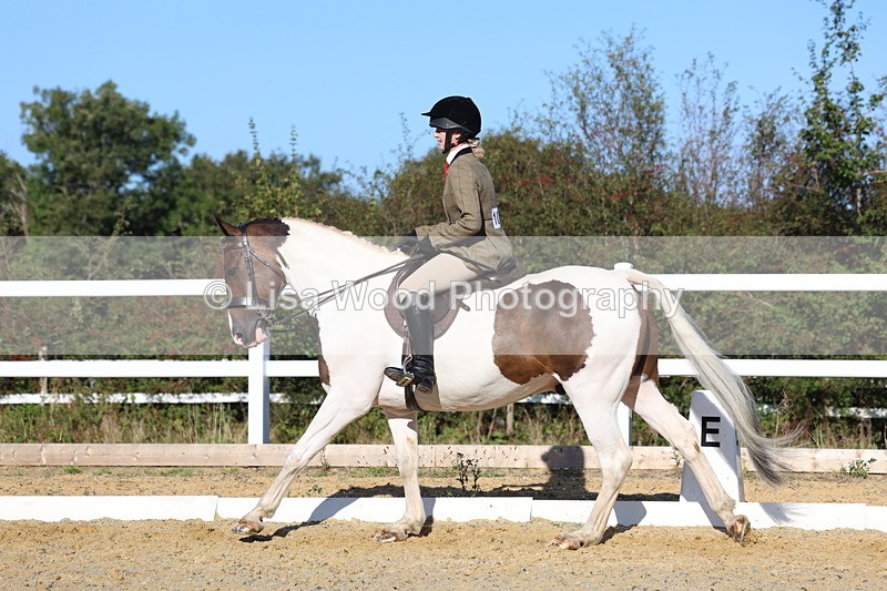 3E7A5278 - Class 8: Small Ridden Hunter