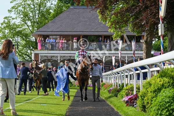 170524-Race 6-Riot-8611 - Race 6 4.45pm Yorkshire Equine Practice Handicap