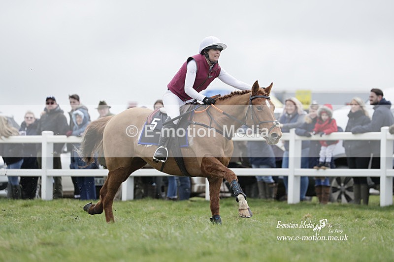 PtP 260323 0276 - New Forest Hounds Point-to-Point Larkhill 26/03/23