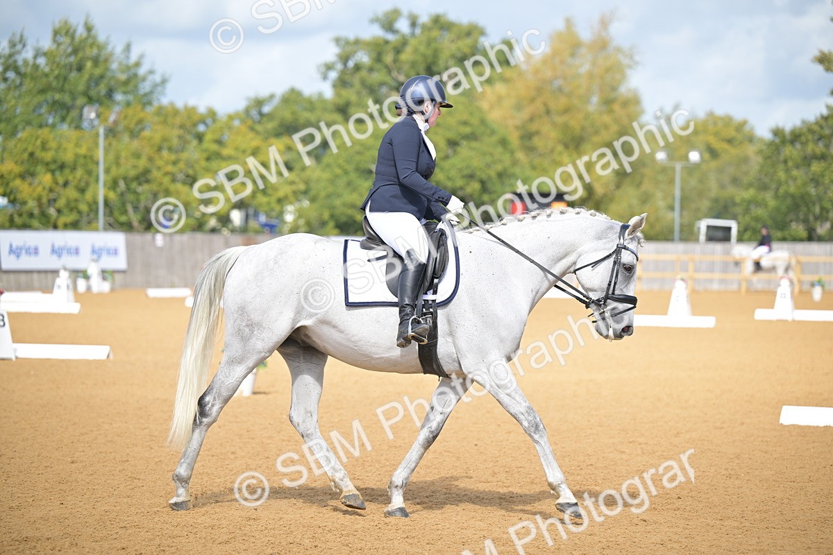 SBM_08039