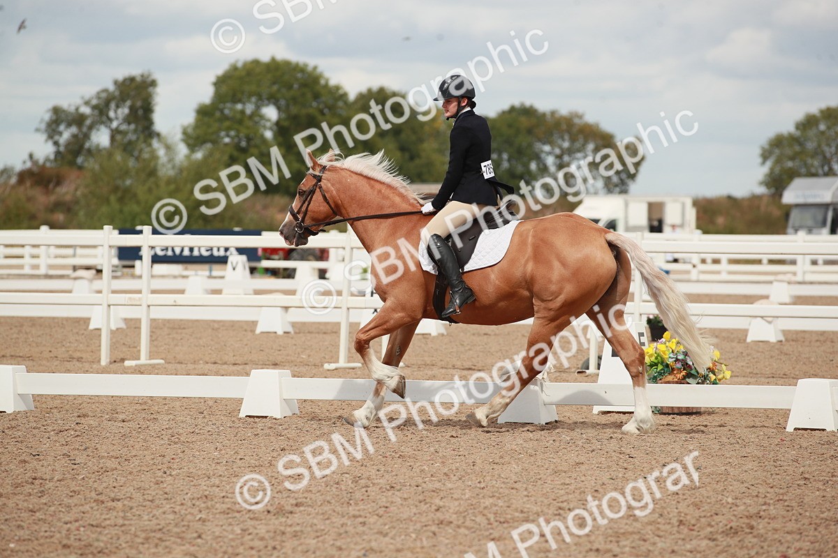 SBM_05899 - Class 32 - Novice 1