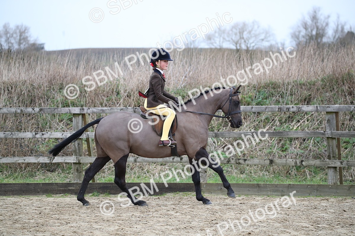SBM_004619 - Class 5-9 - NPS In Hand-Show Hunter-Intermediate Ridden Inc Ridden Championship