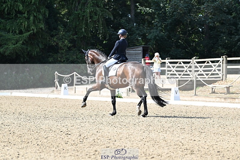 250810A-101818-05087 - 161-Elizabeth.AllenFreestyle.R