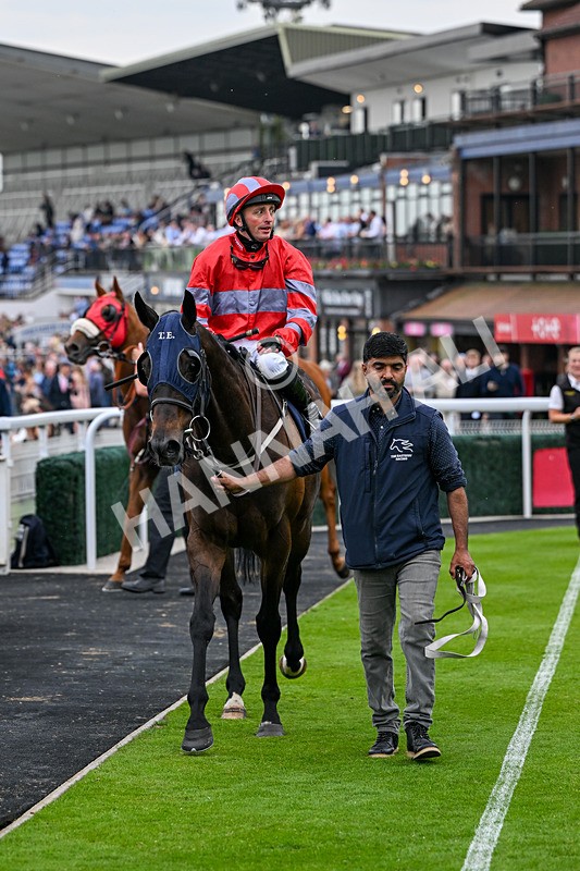 160626-Race 4-Dream Deal-4903 - Race 4 20.00pm Coachman Caravans Classic Handicap