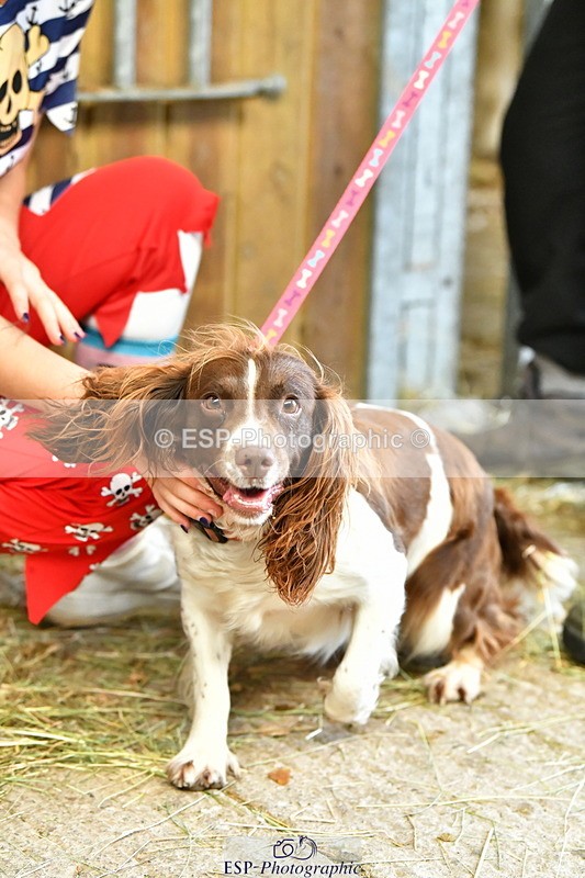 230804A-094738-02194 - Stable Shots