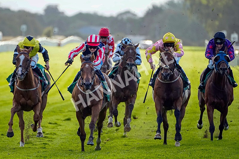 050926-Race 8-Nyman-1 - Race 8 5.35pm Thirsk Racecourse Ideal Conference & Events Venue Handicap (Div II)